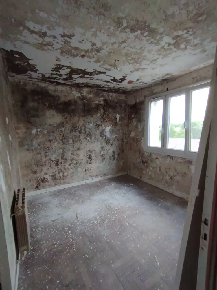 renovation entiere chambre (1)